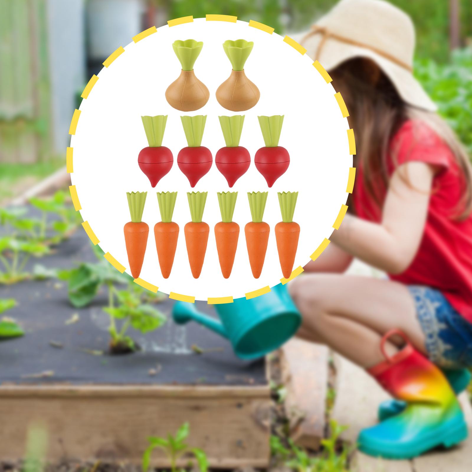 ビーチおもちゃ 快適 理想的なギフト ユニークな野菜を認識  - Kids Unique Outdoor Toys のレビューと価格